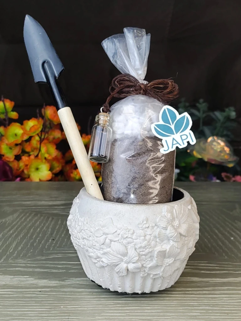 Kit Tierra + semilla + palita