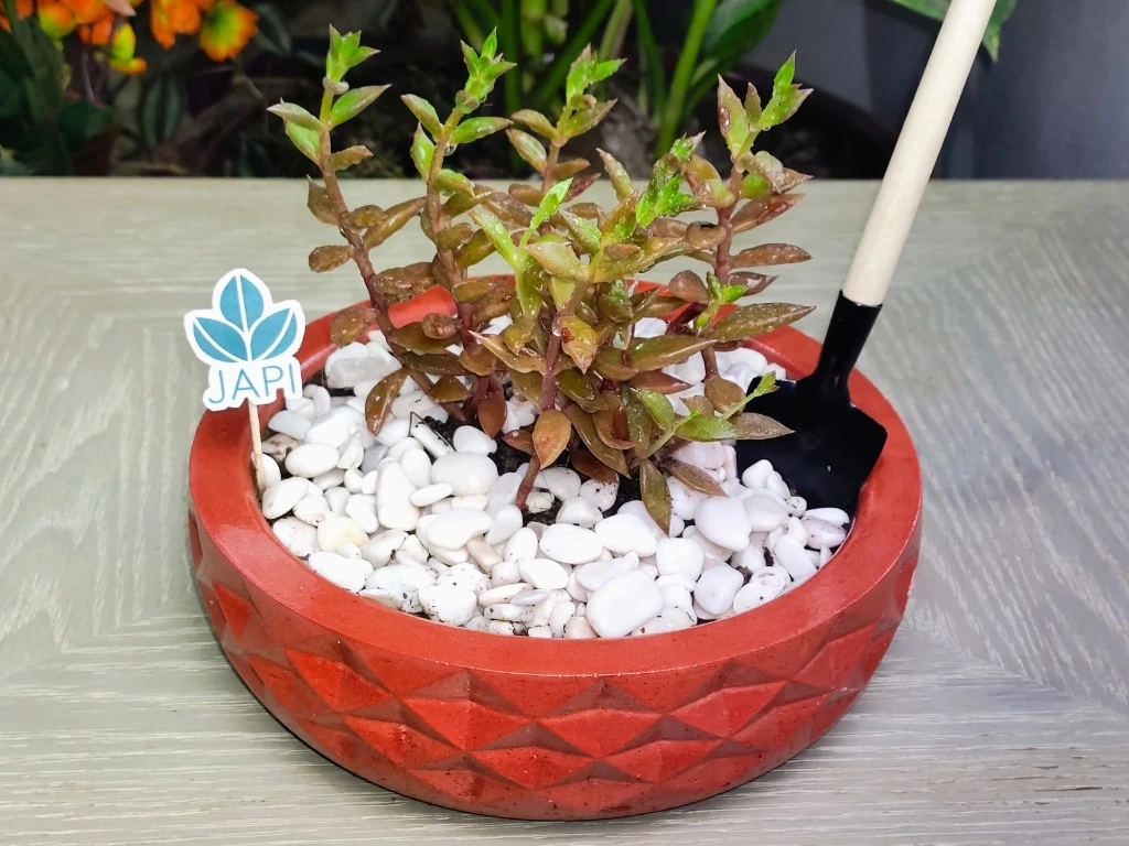 Prisma (Rojo oscuro)